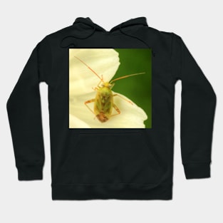 Cute Bug on Green & White Hoodie